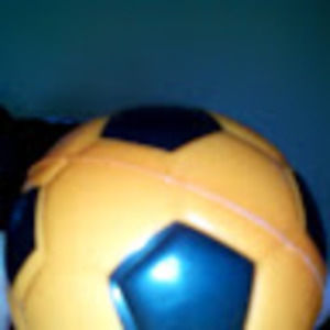 Meet your Posher, Waris